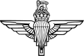 Military Wings - Arrow Bronze